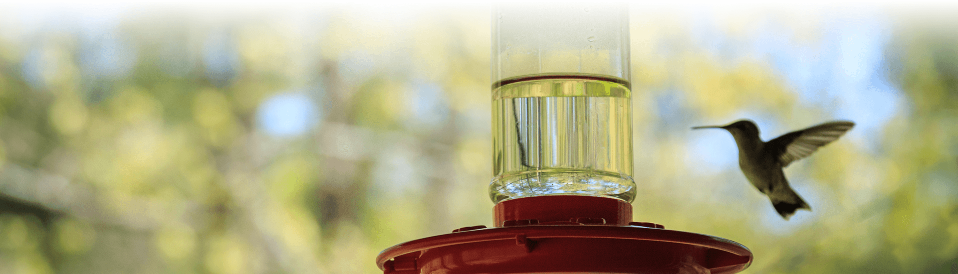 A red hummingbird feeder with a hummingbird flying by it