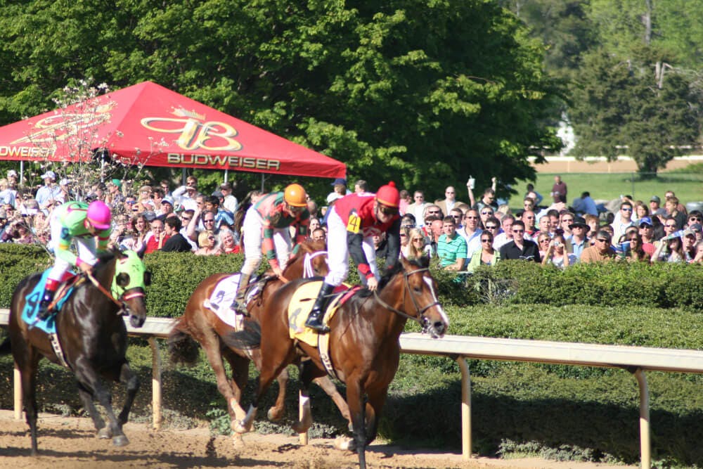 A horse race with jockeys on horses while people watch and cheer in the background.