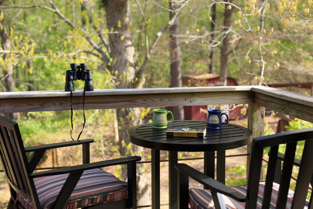 A small table and chairs on an outside porch with cups of coffee, and binoculars, with views of the surrounding woods.